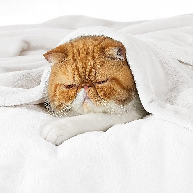 Bedsure GentleSoft Fleece Bed Blankets Full Size White - Soft Lightweight Plush Fuzzy Cozy Luxury Blanket Microfiber, 84x90 inches