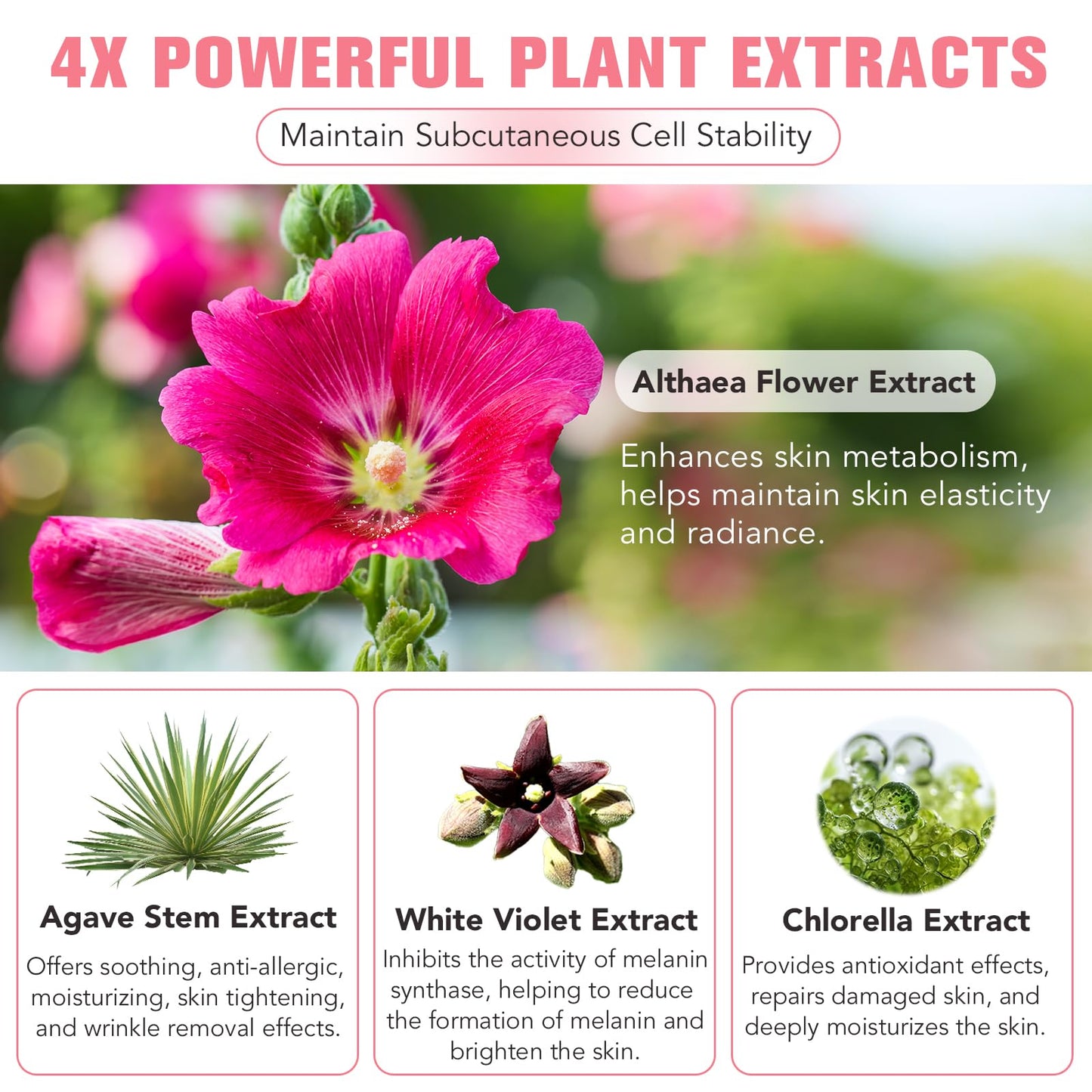 Shuangjia Collagen Night Wrapping Mask with Brush 2.53 fl.oz, Collagen Overnight Wrapping Peel Off Facial Mask Pack, Reduces Sagging & Dullness - Hydrolyzed Collagen For Glowing Skin, For Glass Skin