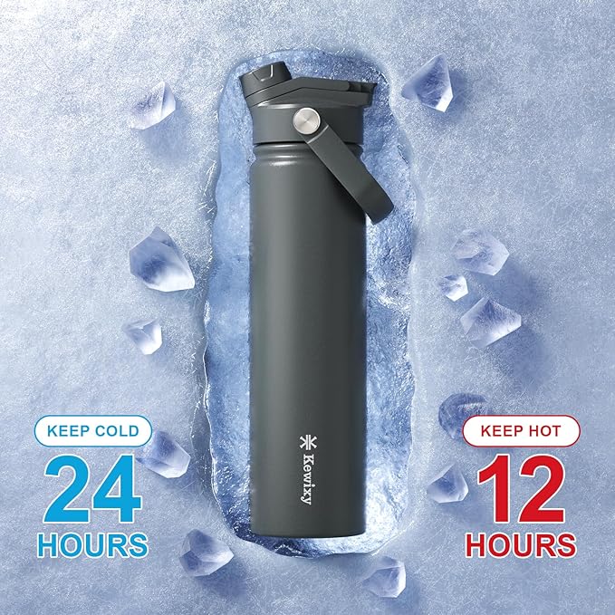 24 oz Insulated Water Bottle, 2-in-1 Lid, Straw & Spout with Protected, Leak Proof, Keep Cold, Stainless Steel, Metal, Reusable, Handle, for Travel, Gym and School, 2 Lids, Char Gray