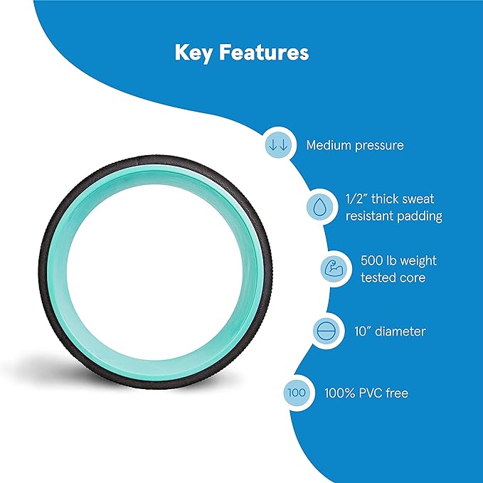 Chirp Wheel Foam Roller – Targeted Back & Neck Relief, Lumbar Spine Stretcher, Spinal Decompression Back Stretcher, Massage Roller with Density Foam for Physical Therapy, Supports 500lbs, 10-Inch Mint