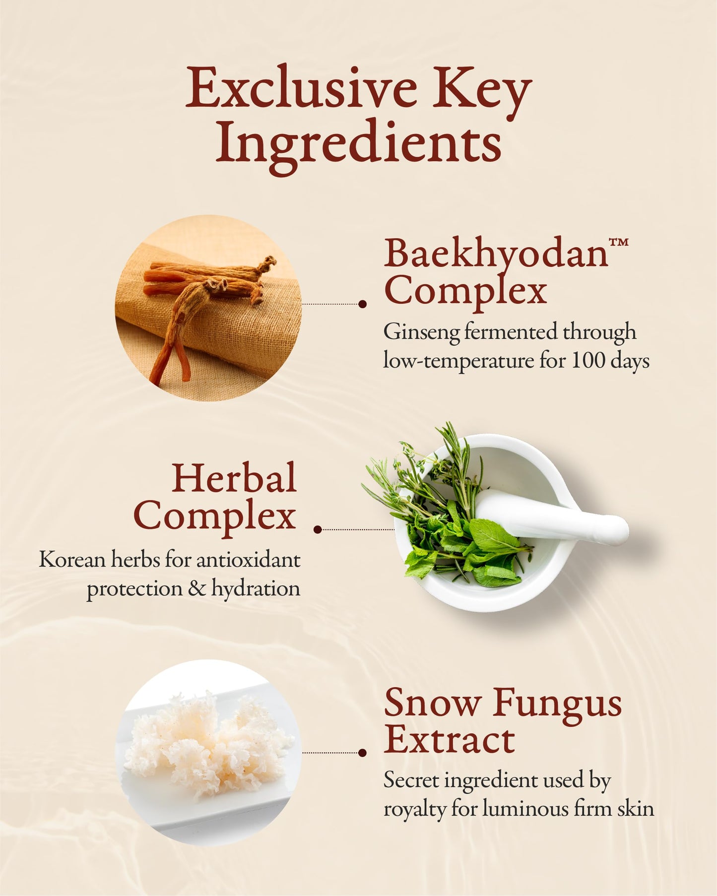 Sooryehan Hyobidam Fermented Travel Kit (Pack of 4) - Herbal korean skincare set with Toner, Emulsion, Cream & Cleansing Foam, featuring Baekhyodan™ & Silver Mushroom. for hydration & elasticity.