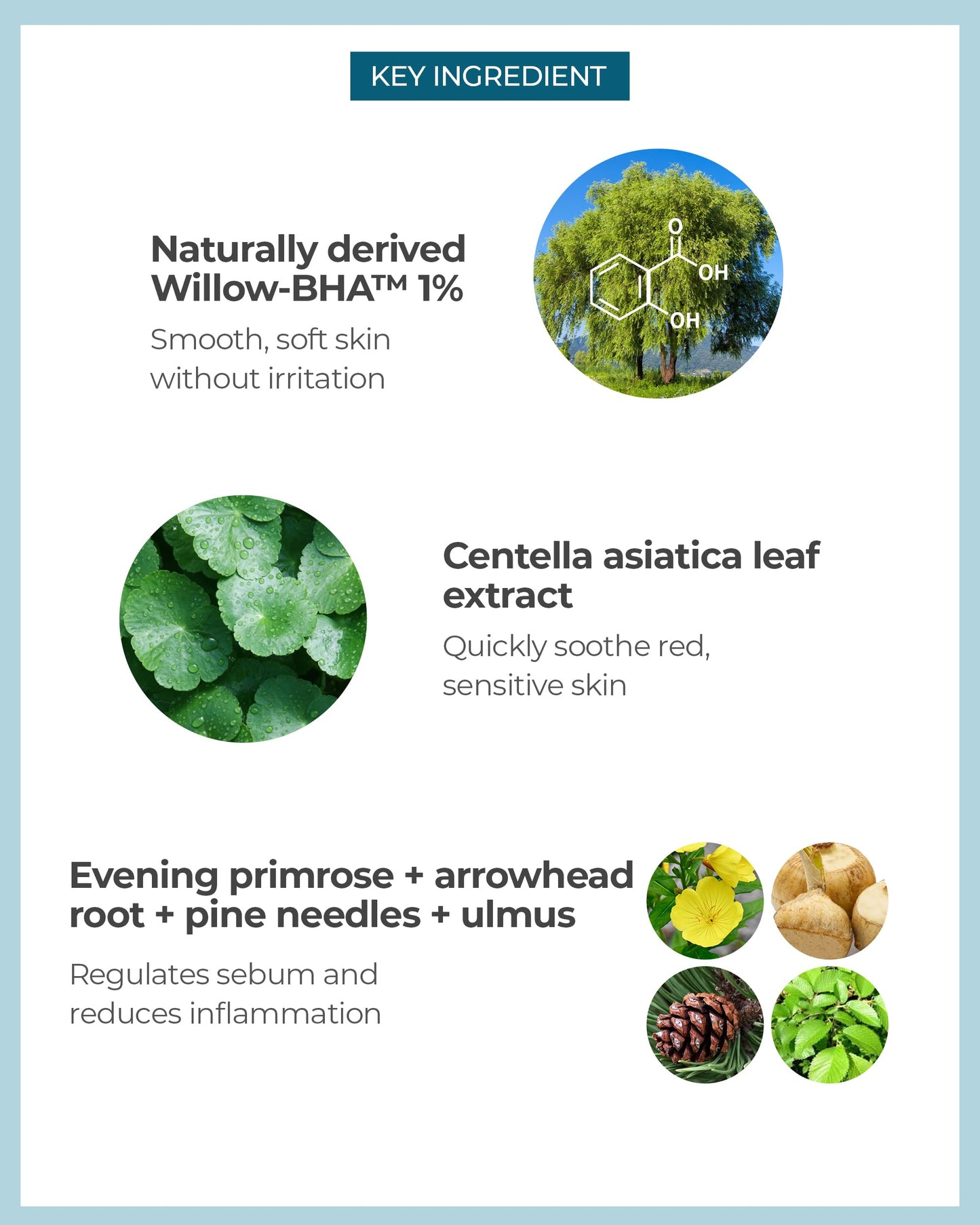 BE THE SKIN BHA+ Pore Zero Advanced Serum - AHA BHA Face Serum for Intense Pore Care and Sebum Control - Pore Minimizer for Acne Blackheads Open Pores, 1.01 fl.oz.