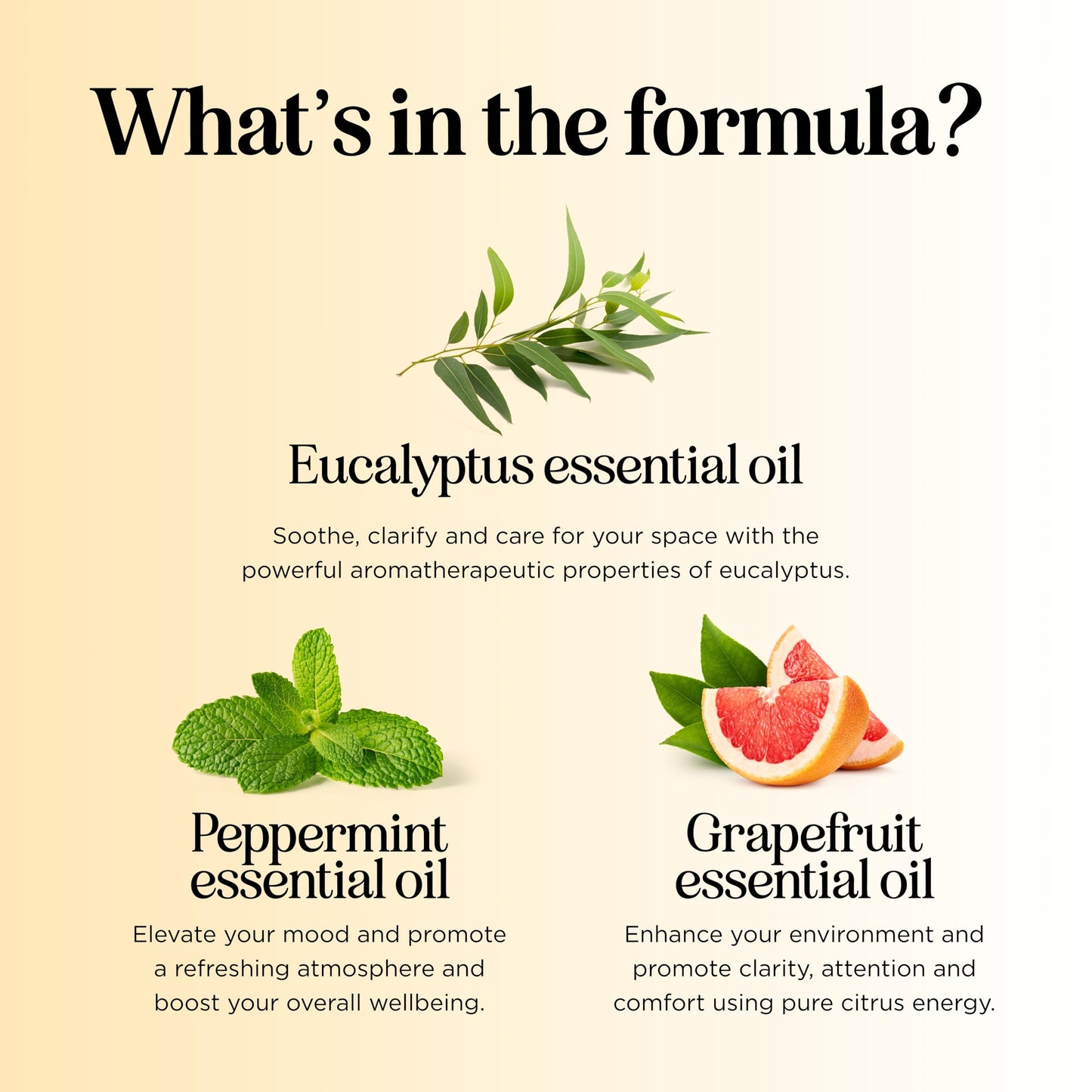 Focus Essential Oil Roll On - Aromatherapy Essential Oil Roller with Invigorating Pure Citrus and Mint Oils - Attention and Focus Essential Oil Blend with Eucalyptus Peppermint & Grapefruit (1 Pack)