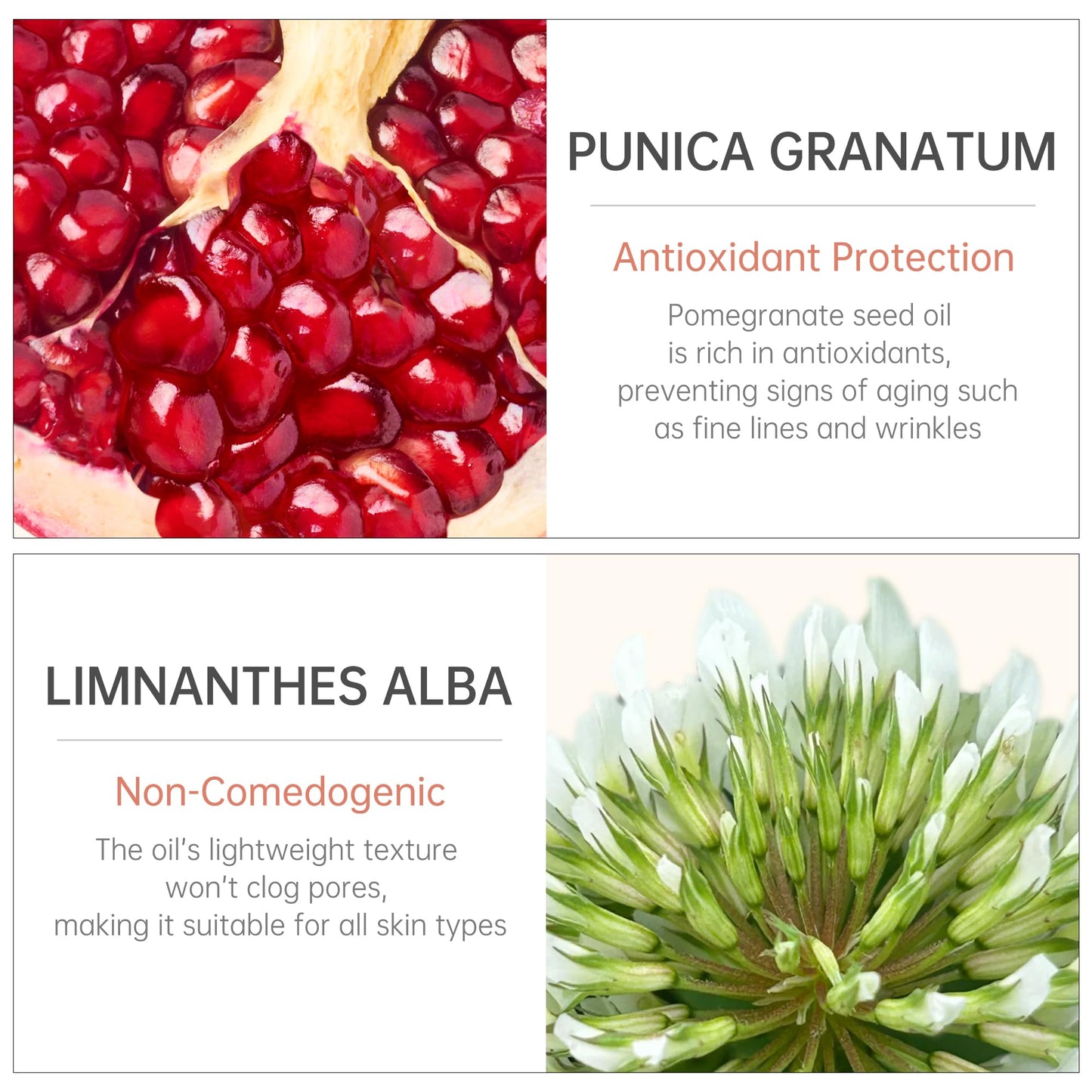 Loffeyo 20PCS Travel Cleansing Oil Makeup Remover, Individually Mini Size Packaged Units, Moisturizing Pomegranate Seed, Travel Essential