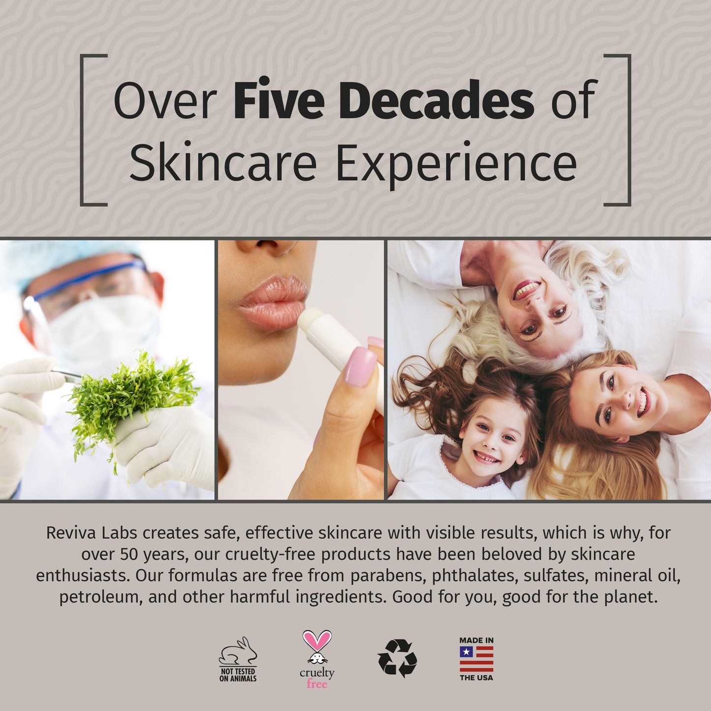 Reviva Labs Vitamin E Stick - Hydrating Lip Balm for Chapped Lips & Under Eye Care - Moisturizing with Beeswax, Shea Butter & Allantoin - Vitamin E Lip Balm for Men & Women (Pack of 12)