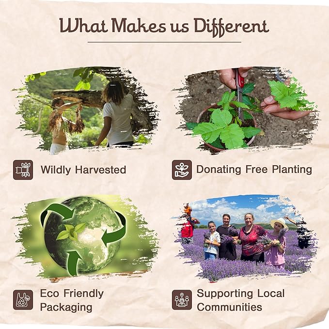 8pcs Wildly Harvested Thick Palo Santo Incense Sticks (Frankincense), 9” Long - Eco Friendly, Non-Toxic, Aromatic Incense Sticks (1hr Burning Time) to Heal & Calm Your Body & Environment