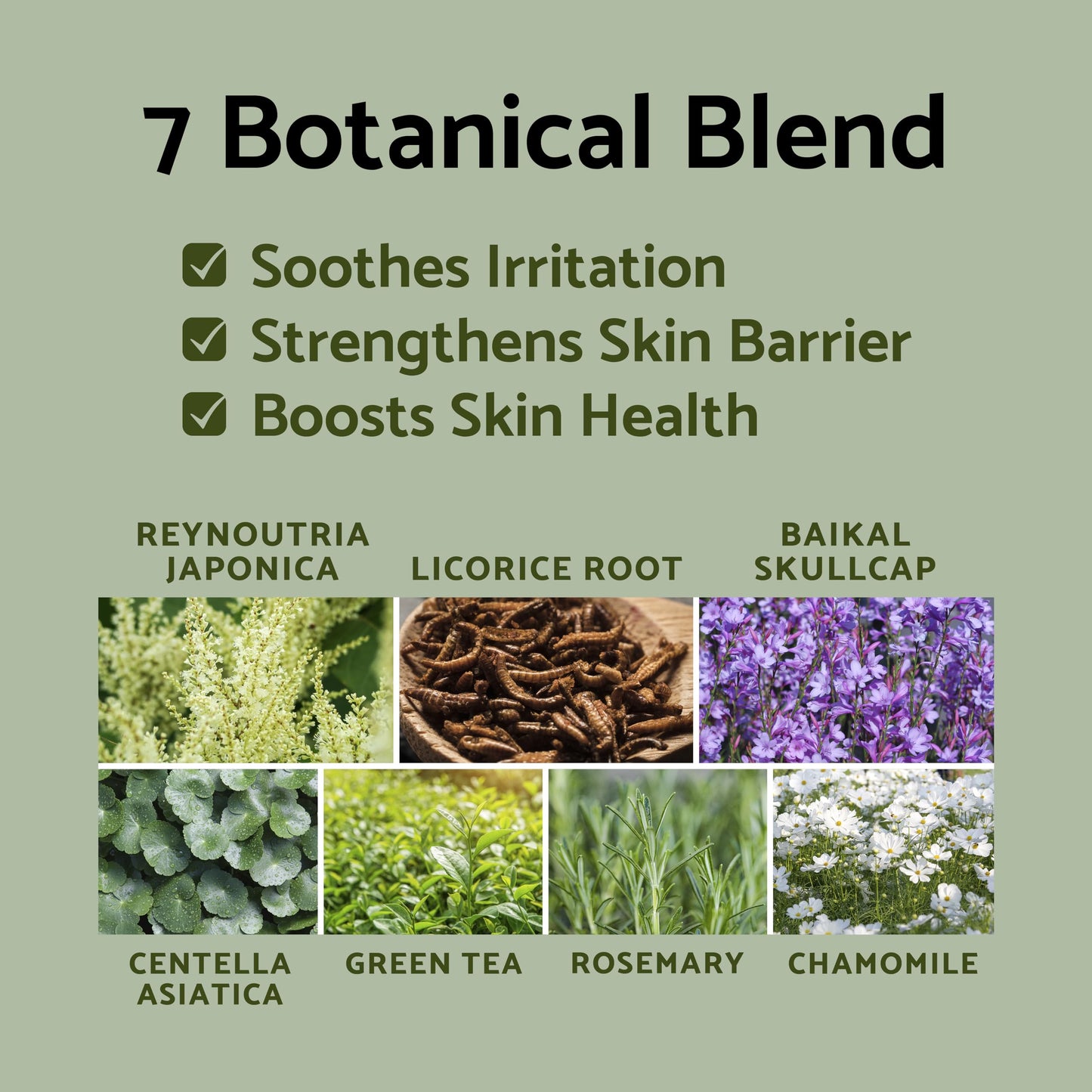 iUNIK Propolis Vitamin Eye Cream Set (Eye Cream 1.01 fl.oz. & Mini Serum 0.51 fl.oz.) - Featuring Propolis Extract, Idebenone, Buckthorn