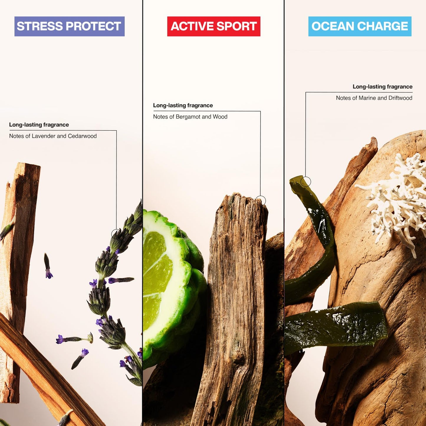 Suave Antiperspirant Deodorant for Men Variety 3-Pack – Invisible Solid Active Sport, Ocean Charge & Stress Protect Antiperspirant Sticks, 48H Sweat & Odor Protection, 2.7 Oz Ea