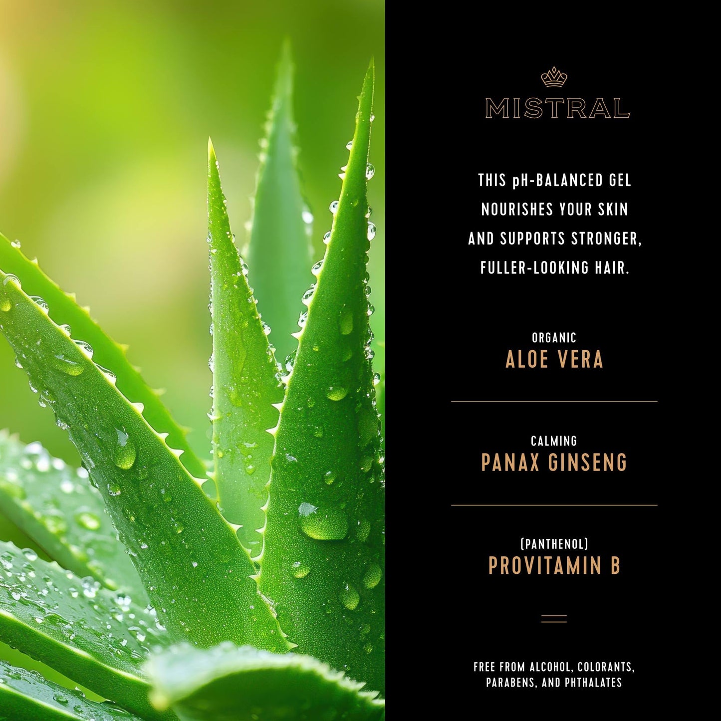 Mistral Men's Body Wash & Shampoo, Black Amber 13.5 oz | 2-in-1 Natural Shower Gel for Men | SLS, Paraben & Phthalate Free | Natural Men’s Body Wash, Moisturizing Bath Gel - Made in France