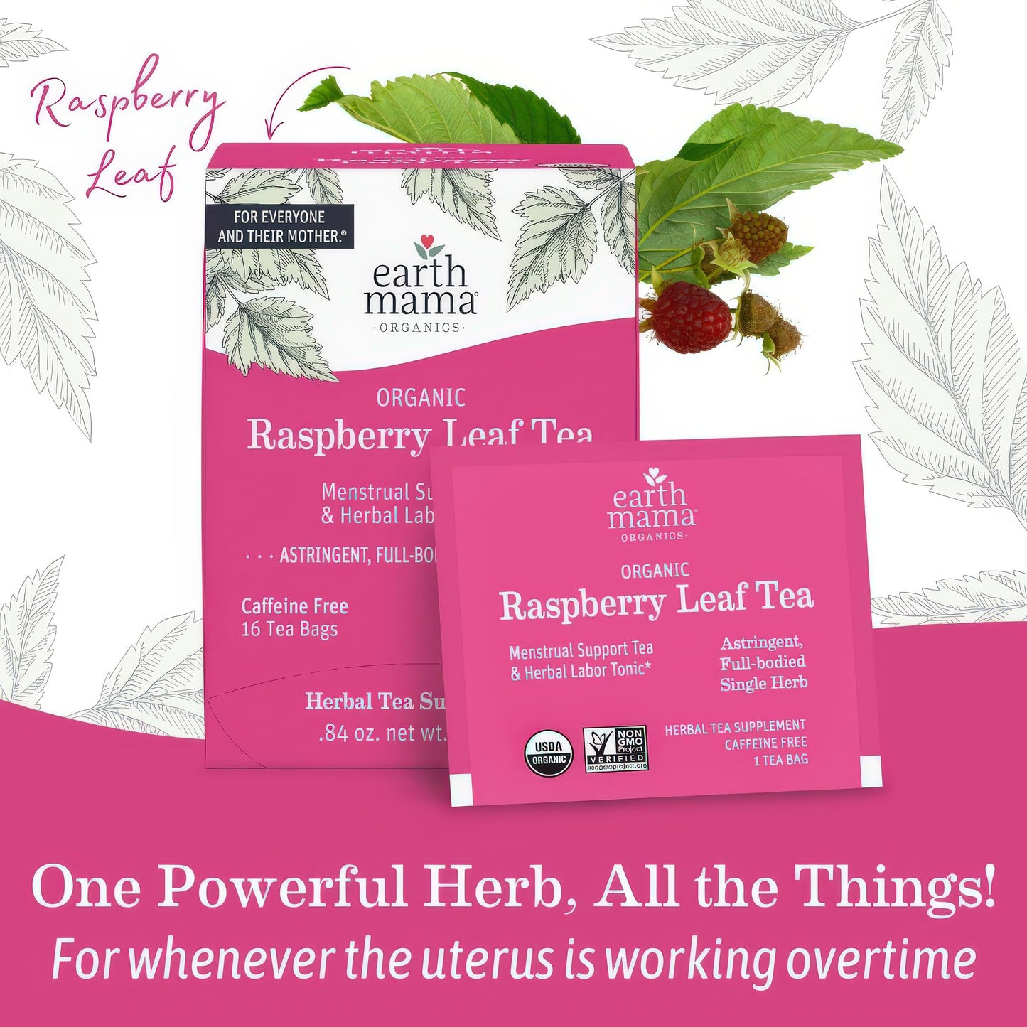 Earth Mama Organic Raspberry Leaf Tea Bags | Labor Tonic & Menstrual Support Herbal Tea, Red Raspberry Leaf Tea for Pregnancy & Postpartum Care Recovery, Caffeine Free Tea, Non GMO, (16-Teabags, 2-Pk)