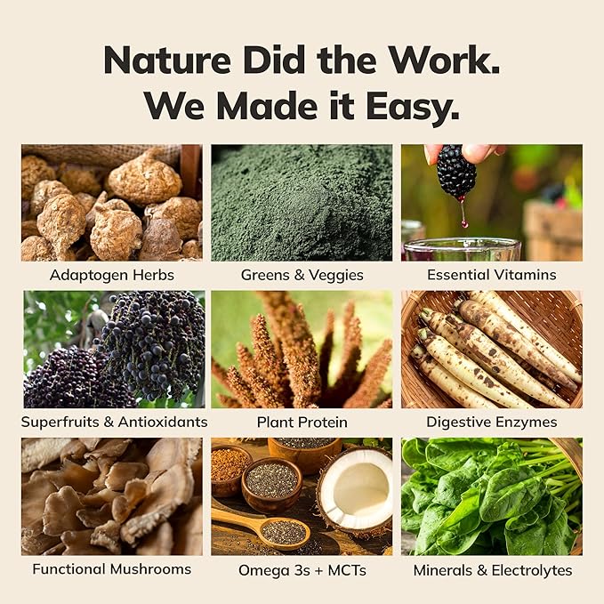 Ka’Chava Whole Body Meal Shake Vanilla, 5-Count Travel Size Sachets – Vegan Protein Powder with 85+ Superfoods – Plant-Based Meal Replacement with Probiotics & Digestive Enzymes – Gluten & Dairy Free