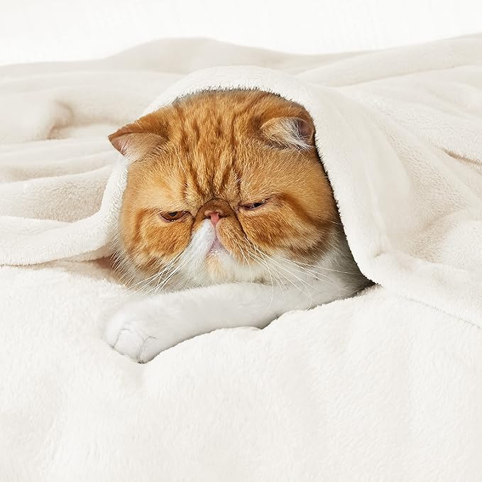 Bedsure GentleSoft Fleece Blanket California King - Lightweight Plush Fuzzy Cozy Soft Blankets for Bed, Cream, 102x96 inches