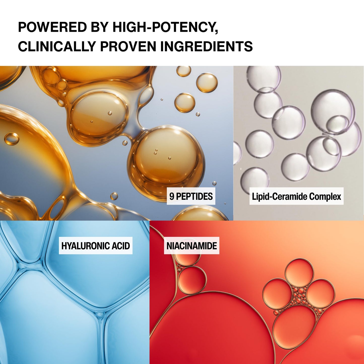 BYRANA Jeju Island Peptide Barrier Face Serum – Korean Vegan Skincare with 9 Peptides, Ceramides, Hyaluronic Acid, Niacinamide & Marine Complex – Hydrating, Firming & Barrier Support – 1.7 oz