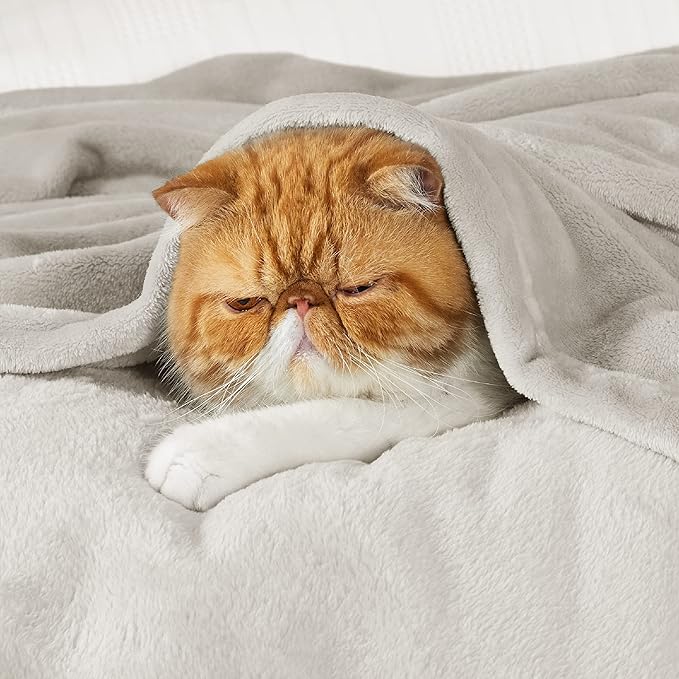 Bedsure GentleSoft Twin XL Fleece Blanket Dorm Bedding - Lightweight Soft Cozy Blankets for Bed, Sofa, Couch, Travel, Camping, Linen, 66"x90"