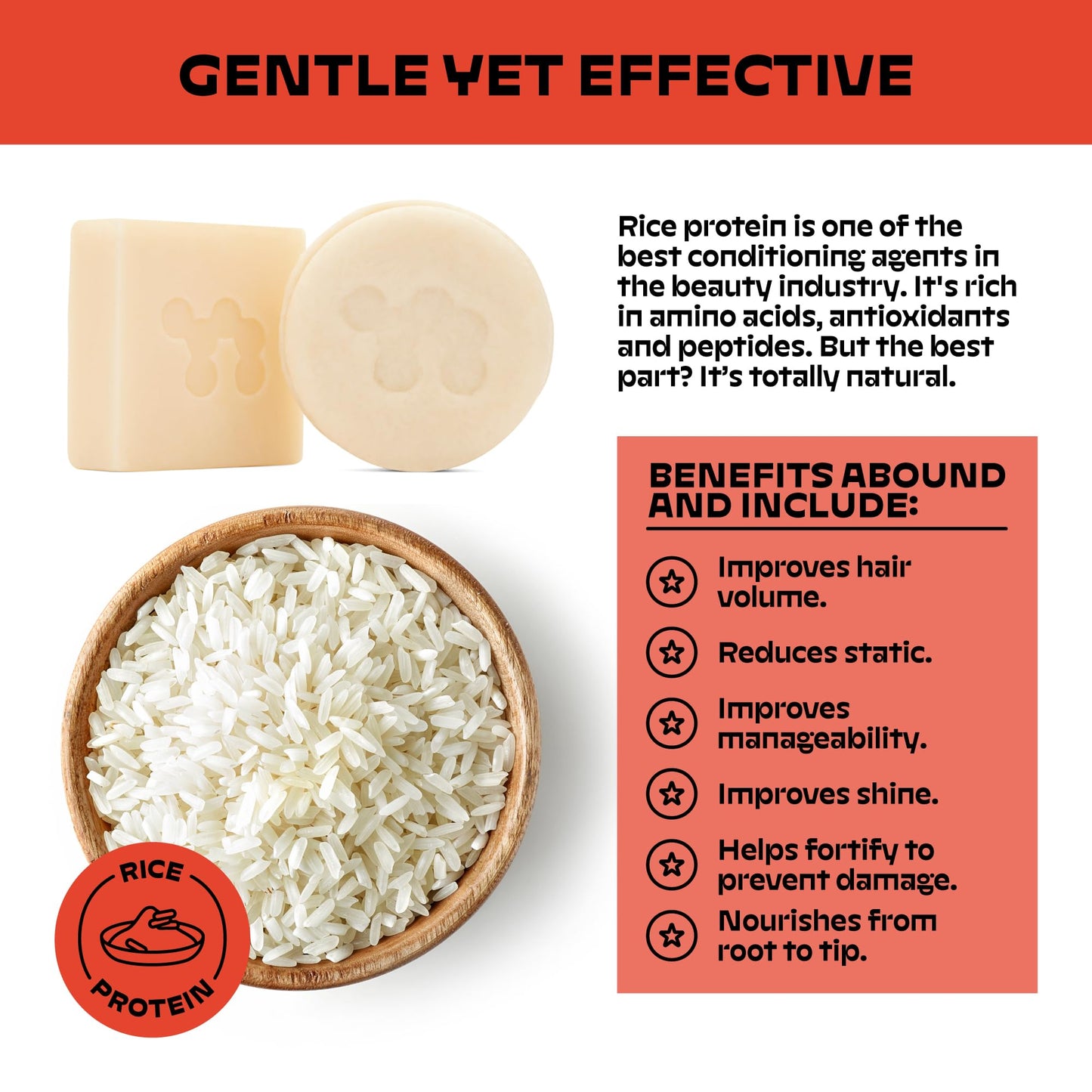 NOLE CARE Sustainable Conditioner Bar with Coconut & Batana Oil for Frizz (2.12 Oz Bar) - Sustainable, PH Balanced, Rice Protein Conditioner for Silky Frizzy Hair, Plastic-Free