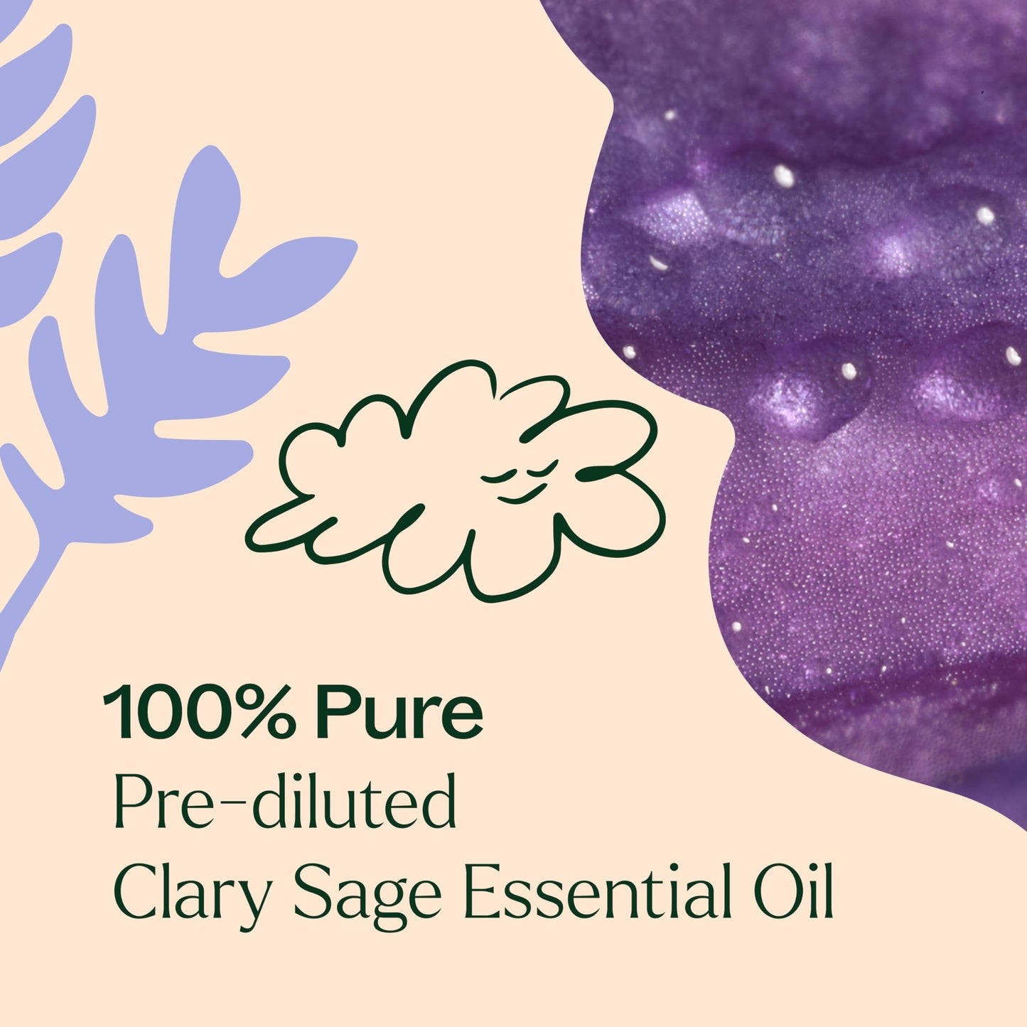 Plant Therapy Clary Sage Pre-Diluted Essential Oil Roll-On 10 mL (1/3 oz) 100% Pure, Natural Aromatherapy, Therapeutic Grade