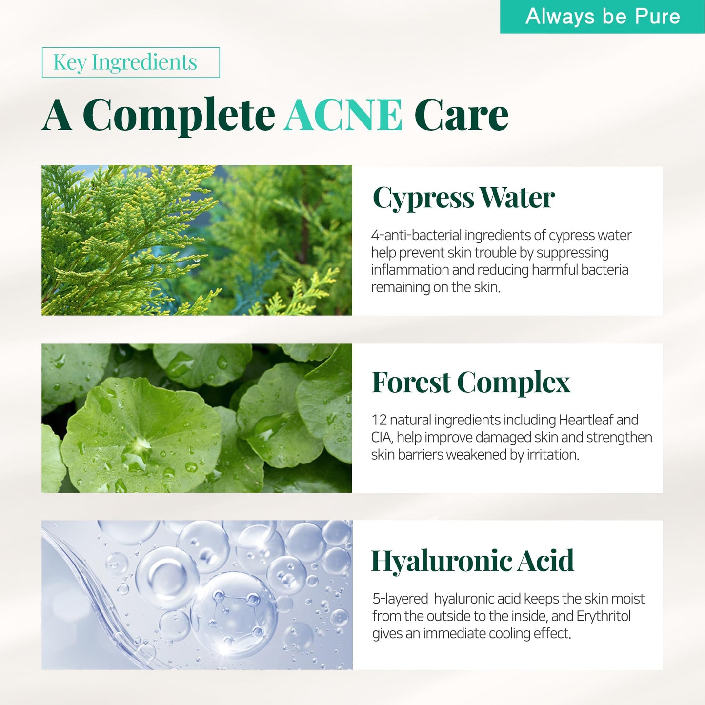 ALWAYS BE PURE Forest Therapy Ultra Calming Cream Soothing Moisturizer for Sensitive, Acne-Prone Skin - Redness Relief, Deep Hydration, Trouble Care - Korean Skin Care 2.70 Oz