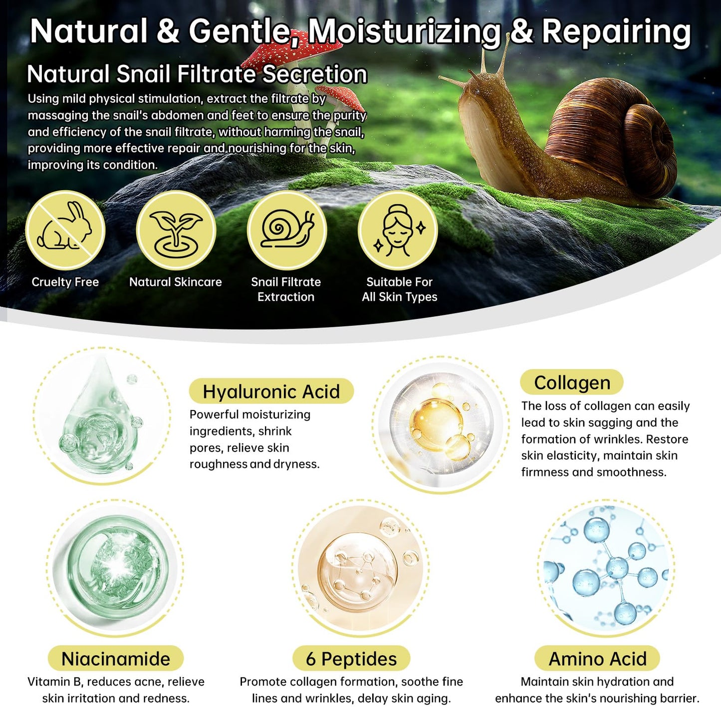 Advanced Skin Care Set With Snail 96 Mucin Power Essence, 6 Peptide Skin Booster Serum, Snail 92 Mucin Cream, 3 PCS Skin Care Gift Kit For Women, Travel Size, Anti Aging, Improve Fine Lines