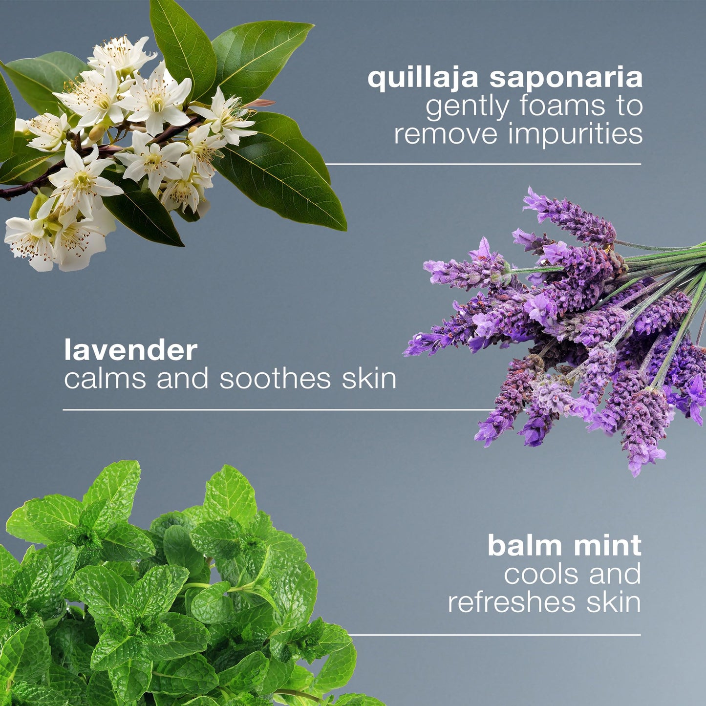 Dermalogica Special Cleansing Gel Gentle-Foaming Face Wash for Women and Men - Leaves Skin Feeling Smooth And Clean, 1.7 fl oz