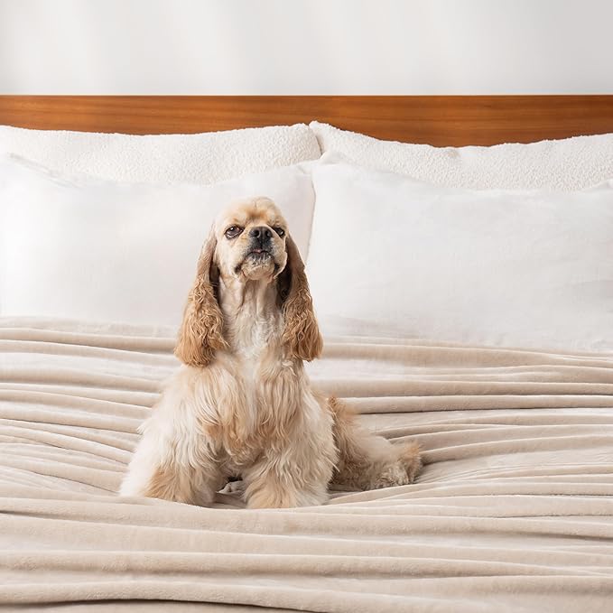 Berkshire Blanket Classic VelvetLoft® Solid Throw Blanket, Lightweight Soft Fuzzy Plush Throw Blanket for Bed and Couch, Grain, 50x60 Inches