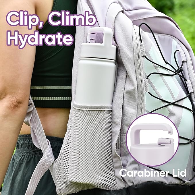 24 oz Insulated Water Bottle, 2-in-1 Lid, Straw & Spout with Protected, Leak Proof, Keep Cold, Stainless Steel, Metal, Reusable, Handle, for Travel, Gym and School, 2 Lids, Pale Mauve