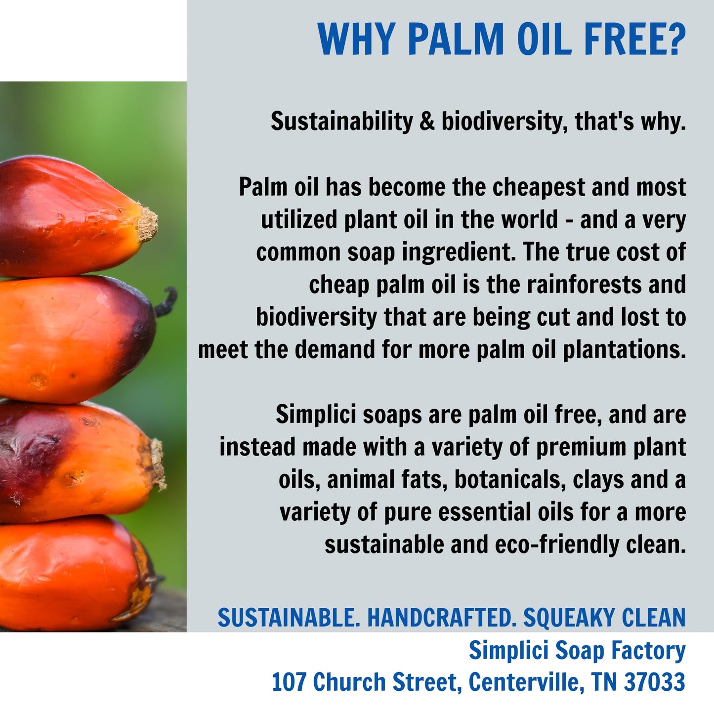 Simplici Activated Charcoal Natural Soap (smooth + for sensitive skin) 6 Bar Value Bag. Palm Free.