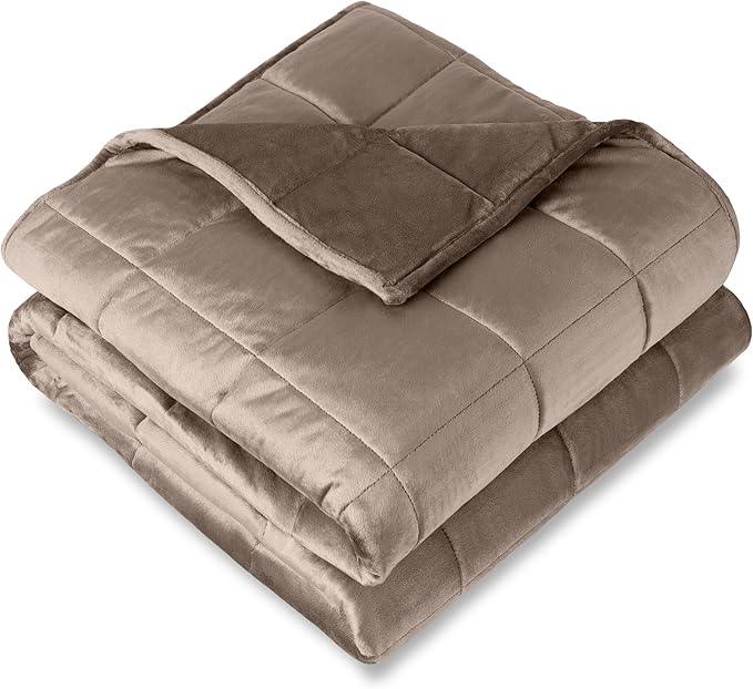 Bare Home Weighted Blanket Queen Size 17lb (60" x 80") for Adults - Minky Fleece - Premium Heavy Blanket Nontoxic Glass Beads (Taupe, 60"x80")