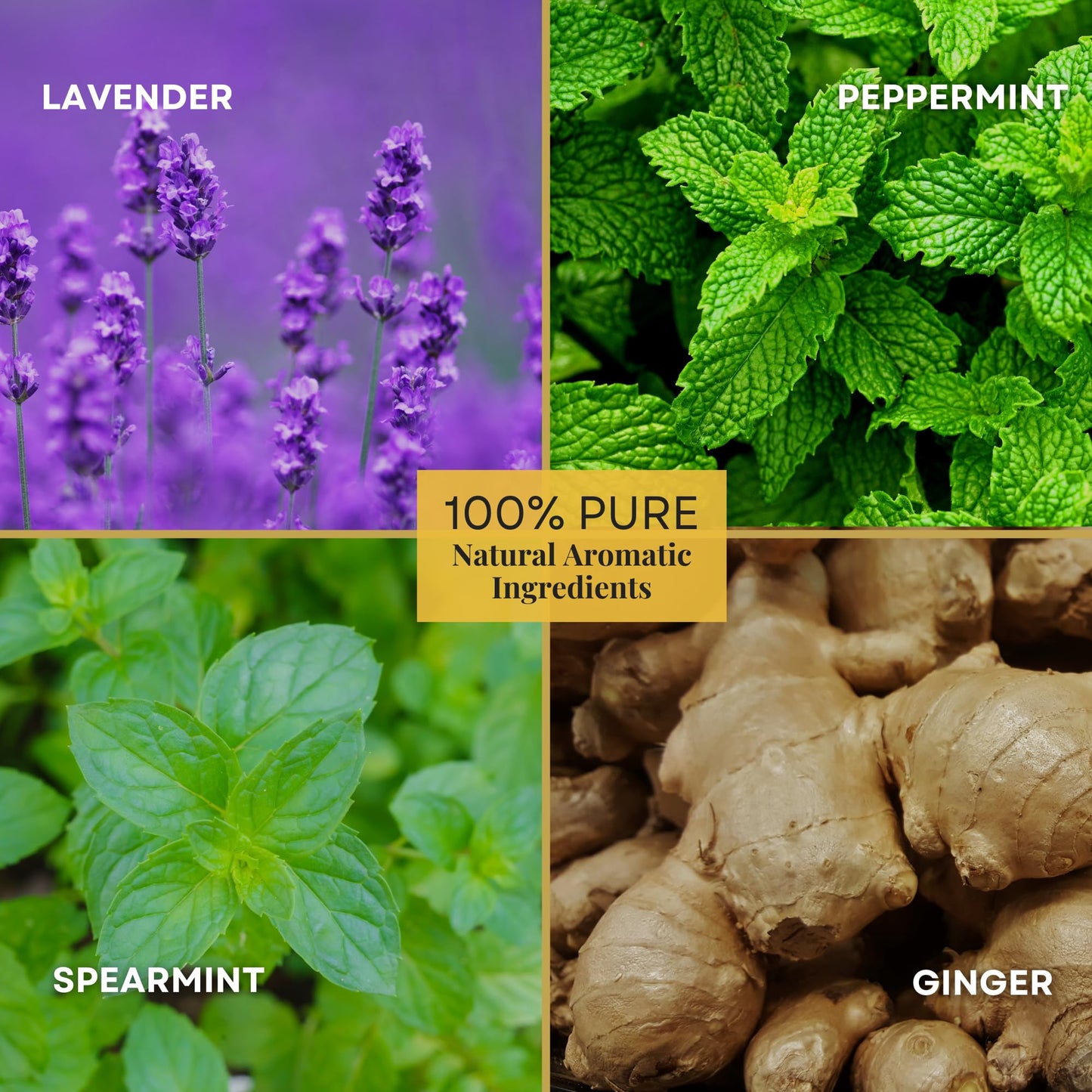 deSensua Nausea Relief Oil Synergy Blend for Motion Sickness, Gas, Bloating, 100% Pure Essential Oils Blends, Nausea Relief for Pregnant Women, Pure Essential Oils for Diffusers for Home 15 mL