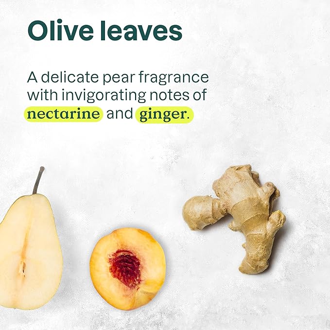 ATTITUDE Hand Sanitizer Spray, EWG Verified, Kills Germs & Bacteria, Vegan & Plant-Based, Safe for Adults & Kids, Olive Leaves Scent, 3.38 Fl Oz (Spray Bottle)