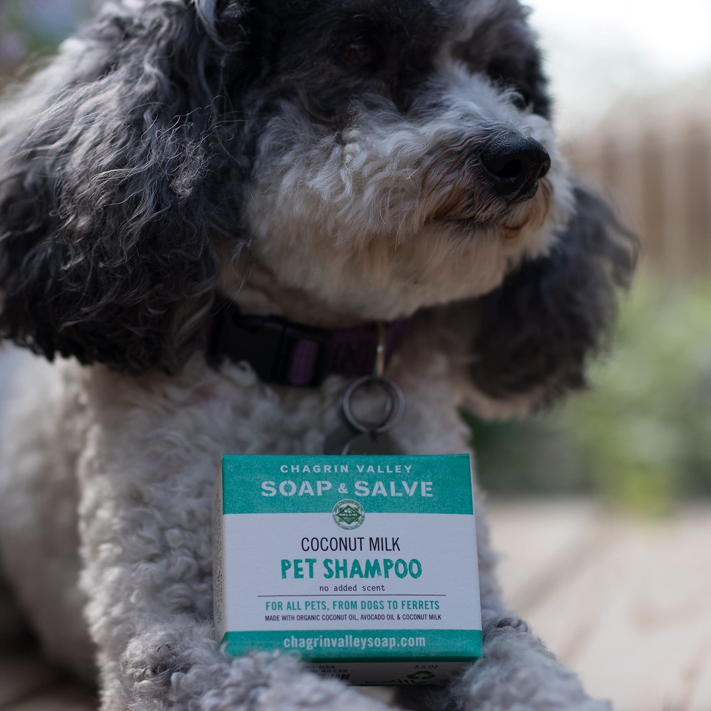 Chagrin Valley Soap & Salve Certified Organic Dog Shampoo and Conditioner – Dog Shampoo Itchy Skin Relief and Puppy Essentials - Natural Handmade Coconut Milk, 3.8 oz Bar