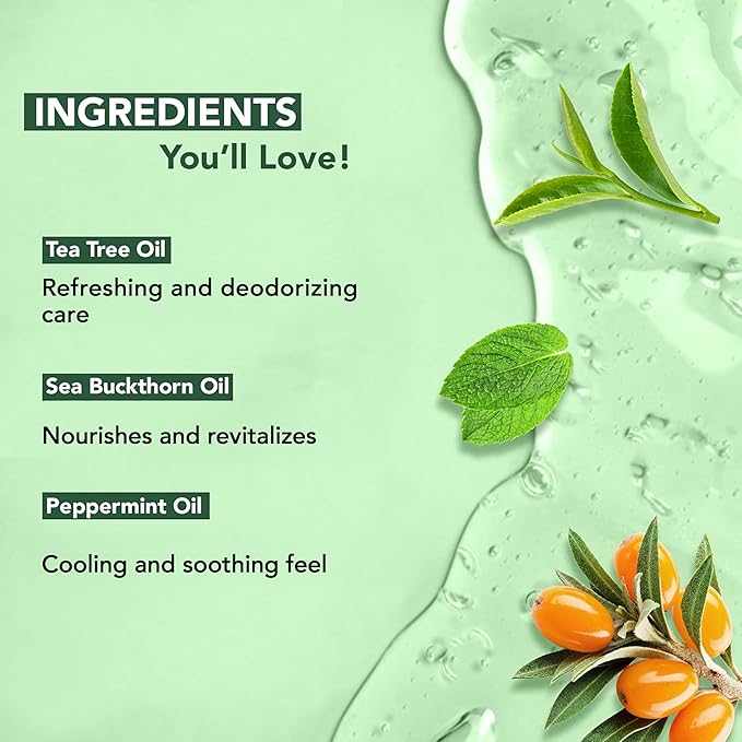 Botanic Hearth Tea Tree Body Wash - 16 fl oz - Helps Soothe Itchy, Dry Skin, Antifugal Body Wash with 100% Pure Tea Tree Oil - Sulfate Free, Paraben Free, for Men and Women