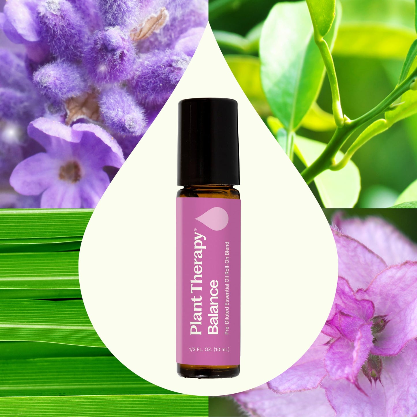 Plant Therapy Balance Essential Oil Blend 10 mL (1/3 oz) Pre-Diluted Roll-On 100% Pure, Therapeutic Grade