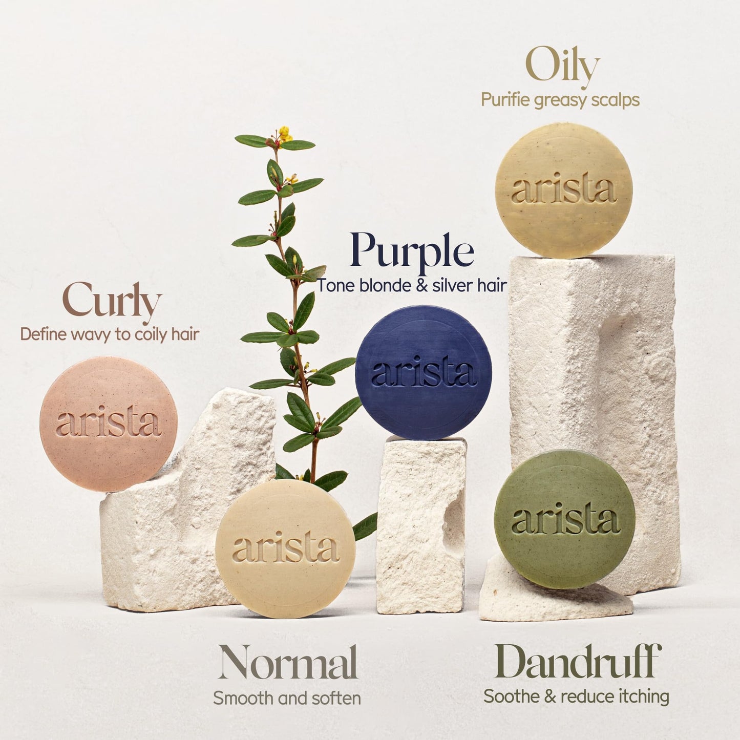 Arista Purple Shampoo Bar, Amla Fruit Powder, Purple Toner & Castor Oil, Moisturizing & Plastic Free Hair Soap, Sulfate Free Solid Shampoo Puck for Grey Hair