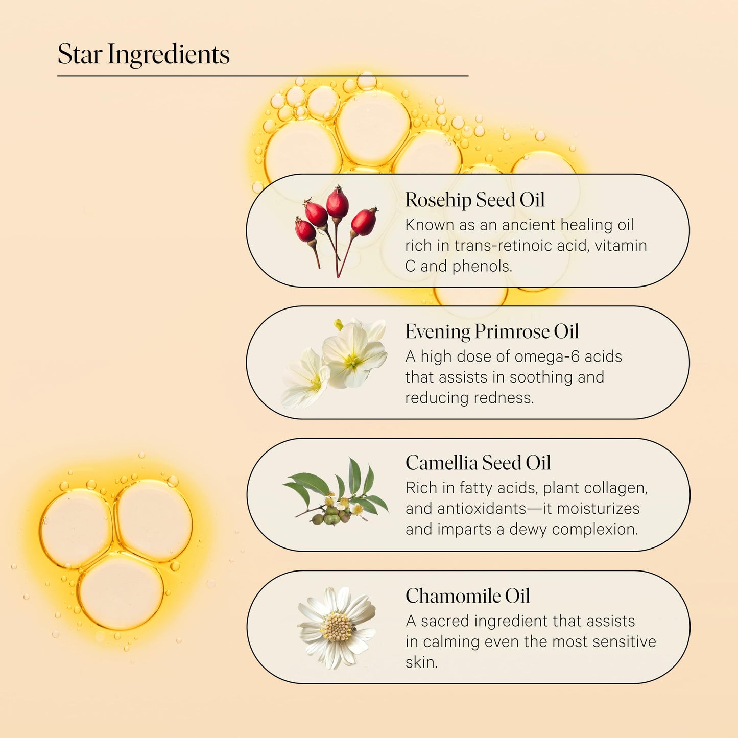 Facial Oil Gift Set- Skin Care Kit for Women- Smoothing, Quieting Moisturizer & Hydrator- Daily & Overnight Use- Beauty Travel Size Skincare Set- Ideal Gift for Women & Teens- Mini Bar by Biography