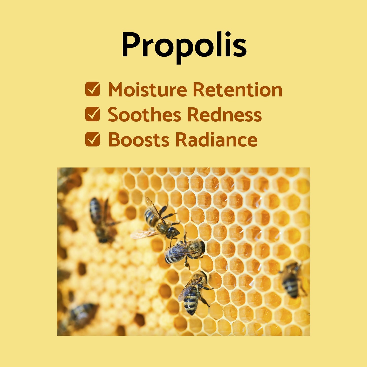 iUNIK Propolis Vitamin Eye Cream Set (Eye Cream 1.01 fl.oz. & Mini Serum 0.51 fl.oz.) - Featuring Propolis Extract, Idebenone, Buckthorn