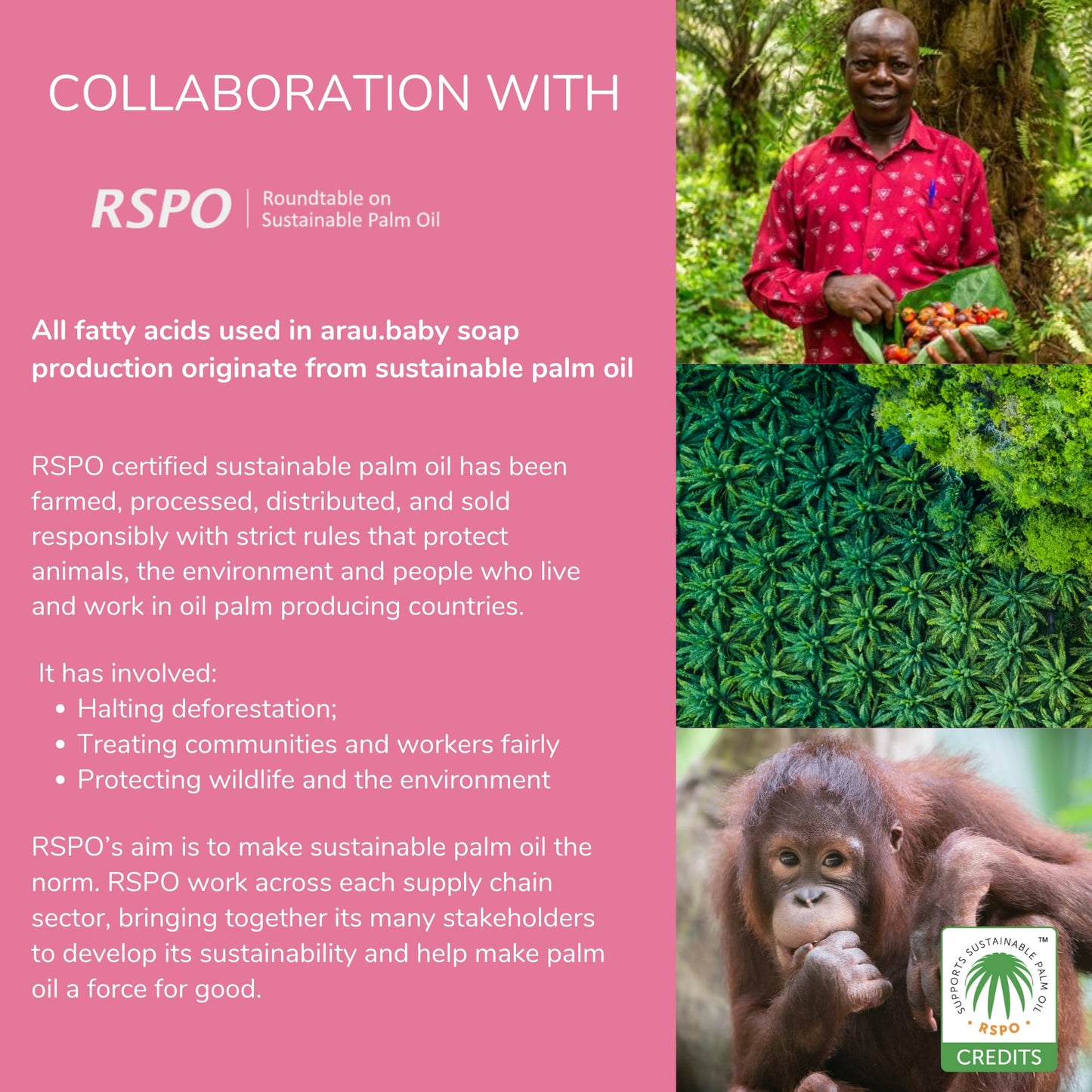 Arau Baby Foam Body Soap Lavender Scent, Natural Plant Based Baby Wash, No Artificial Fragrance or Additives, Gentle for Baby’s Sensitive Skin, Nourishing and Easy Rinse, 15.21 Fl Oz, 3 Pack