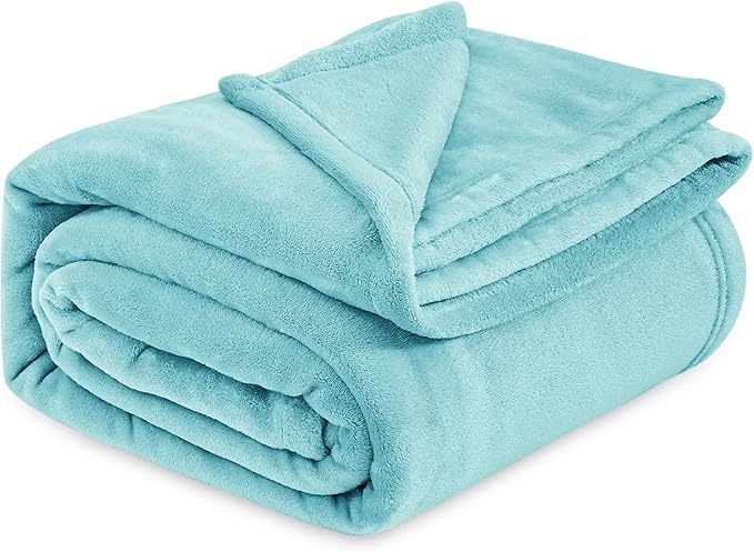 Bedsure GentleSoft Fleece Bed Blankets Queen Size River Blue - Soft Lightweight Plush Fuzzy Cozy Luxury Blanket Microfiber, 90x90 inches