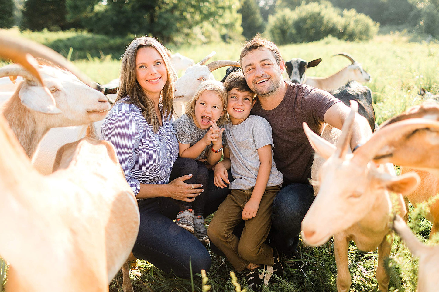 Little Seed Farm Goat's Milk Face Moisturizer - All Natural, Organic Moisturizer Face Cream - Travel Size