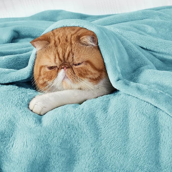 Bedsure GentleSoft Fleece Blankets Twin Size River Blue - 300GSM Lightweight Plush Fuzzy Cozy Soft Blanket for Bed, Sofa, Couch, Travel, Camping, 60x80 inches