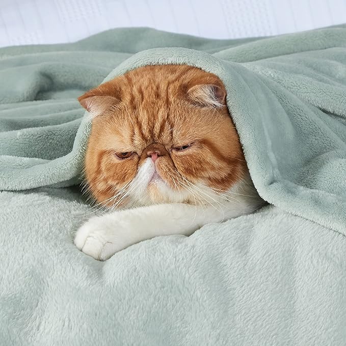 Bedsure GentleSoft Bedding Fleece Blanket for Girls and Boys - Soft Cozy Cute Small Throw Blankets for Travel, 43x55 Inches, Sage Green