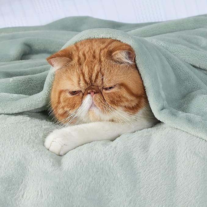 Bedsure GentleSoft Fleece Blanket California King Sage Green - Lightweight Plush Fuzzy Cozy Soft Bed Blankets, 102x96 inches