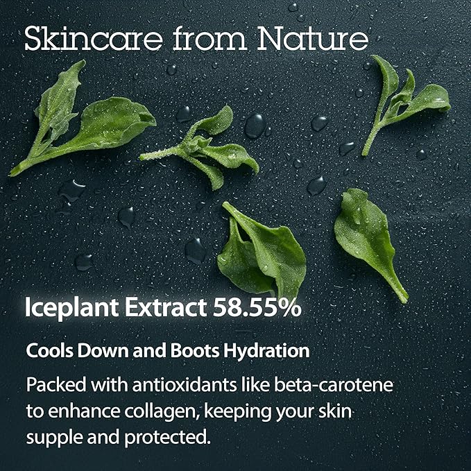 BLITHE Pressed Serum Crystal Iceplant Face Moisturizing Gel - Kbeauty Best Skin Cream for Dry Skin, Korean Serum for Combination Skin & Redness Relief, Face Moisturizer for Dry Skin Cream 0.91 Oz