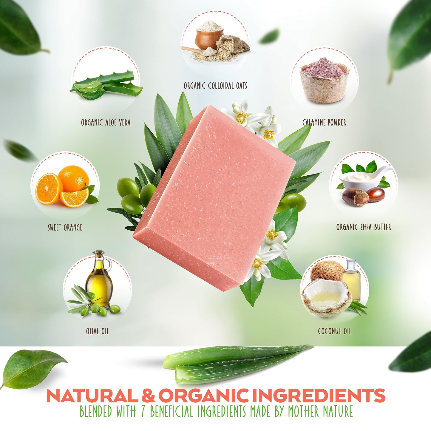 Aloe Vera & Oatmeal Soap Bar with Calamine, Natural & Organic Ingredients - Organic Aloe Vera & Colloidal Oats. Face & Body - for Men, Women & Teens. Gentle Body Wash. 4.5 oz Bar