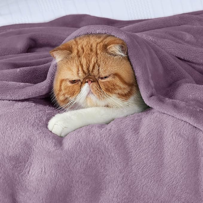 Bedsure GentleSoft Fleece Blankets Twin Size Fog Purple - 300GSM Lightweight Plush Fuzzy Cozy Soft Blanket for Bed, Sofa, Couch, Travel, Camping, 60x80 inches