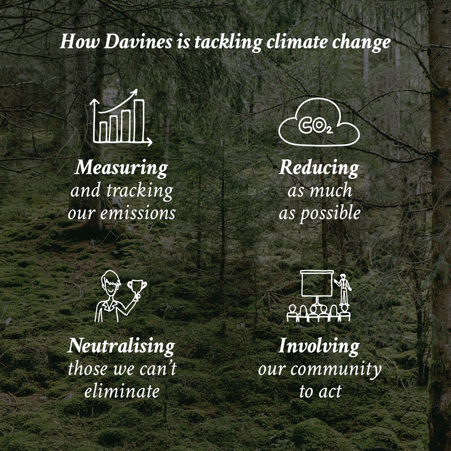 Davines LOVE Shampoo Bar, For Frizzy or Coarse Hair, Add Softness, Shine and Silky Texture, 100 g.