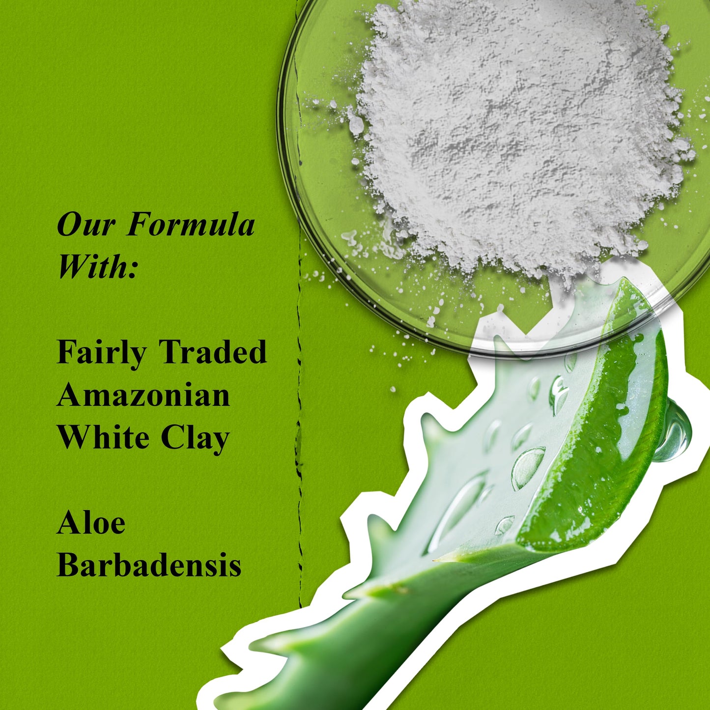 Kiehl's Rare Earth Deep Pore Cleansing Mask, Oil-Minimizing Face Mask for Clogged Pores, Detoxifies & Refines Skin, Absorbs Excess Oil, with Amazonian White Clay & Aloe Vera - 0.95 fl oz