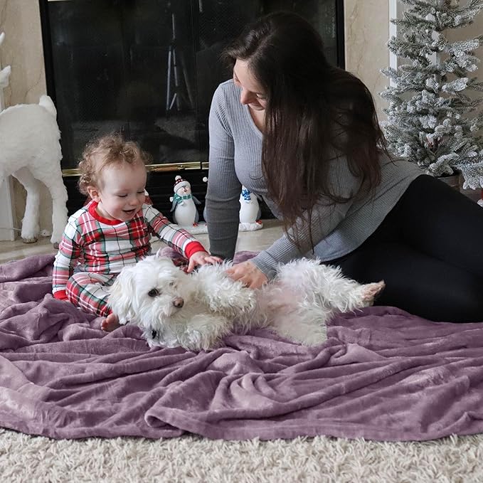 Bedsure GentleSoft Fleece Bed Blankets Queen Size Fog Purple - Soft Lightweight Plush Fuzzy Cozy Luxury Blanket Microfiber, 90x90 inches