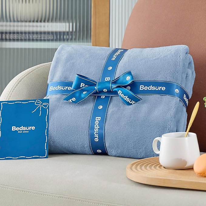 Bedsure GentleSoft Fleece Blankets Twin Size Light Blue - 300GSM Lightweight Plush Fuzzy Cozy Soft Blanket for Bed, Sofa, Couch, Travel, Camping, 60x80 inches