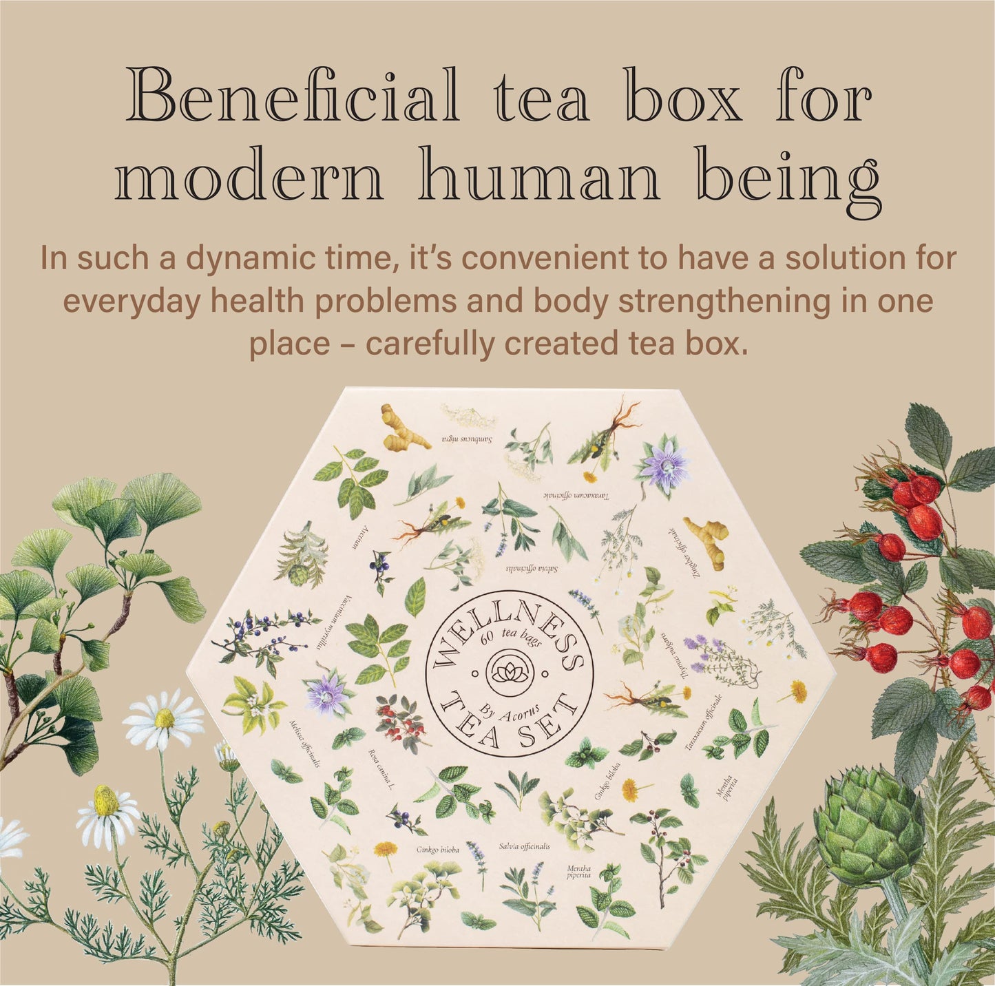 ACORUS Wellness Tea Set – Natural Herbal Tea Variety Pack, Gift Set of 6 Different Teas, 60 Bags Individually Wrapped, Herbal Sampler Box, Harmonious Balance of Taste & Aroma