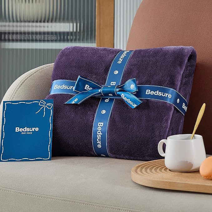 Bedsure GentleSoft Fleece Blanket Twin Size Purple - 300GSM Lightweight Plush Fuzzy Cozy Soft Warm Blanket for Bed, Sofa, Couch, Travel, Camping, 60x80 inches